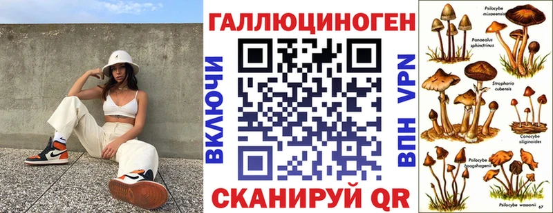 Купить  Алексин  Псилоцибиновые грибы MAGIC MUSHROOMS 